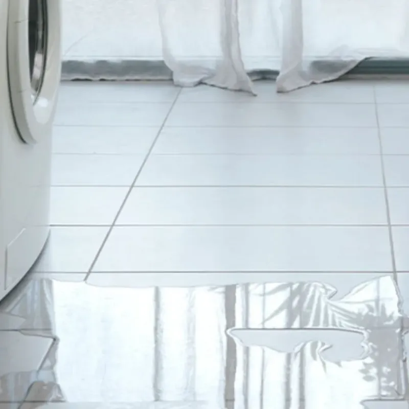 Appliance Leak Cleanup in Wilkes County, GA
