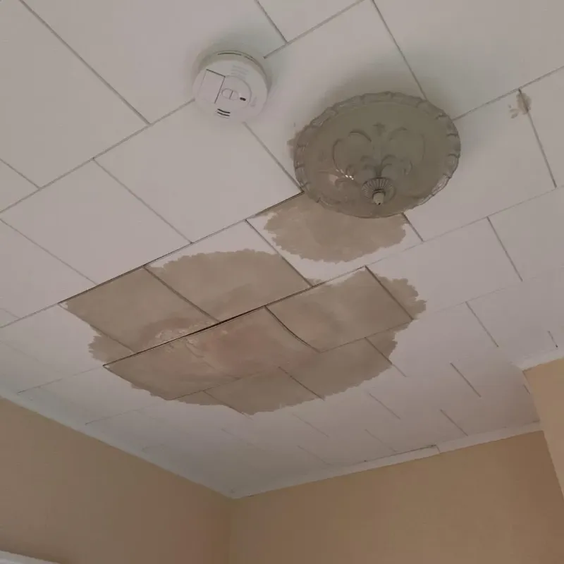 Ceiling Water Damage Repair in Wilkes County, GA