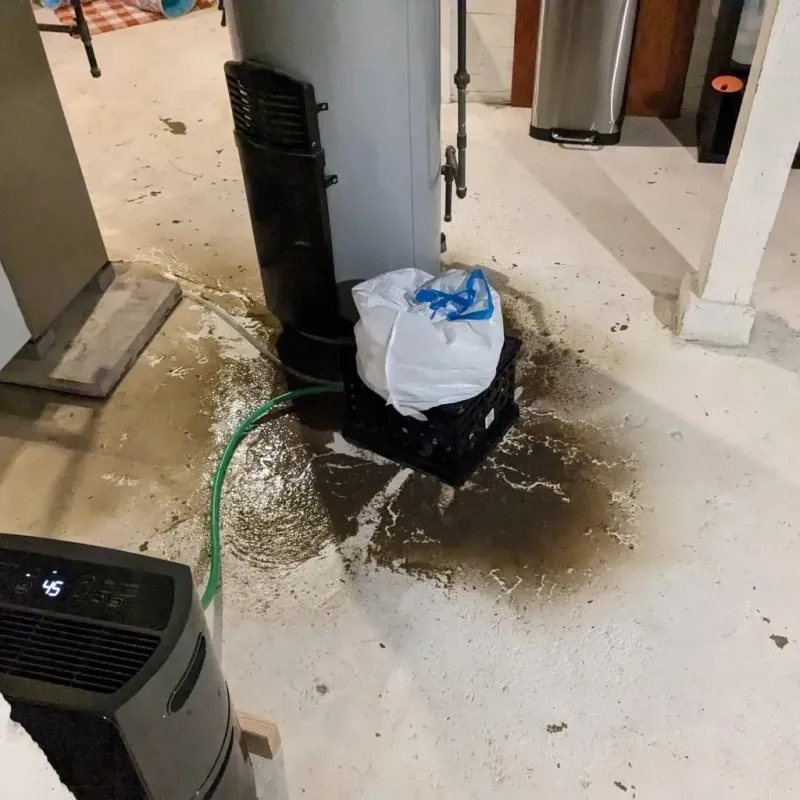 Sewage Backup Cleanup Service in Wilkes County, GA